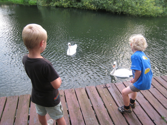 Tim and Cole feeding the swans (07-22-2009 19:04)