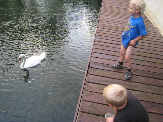 Tim and Cole feeding the swans (07-22-2009 19:04)