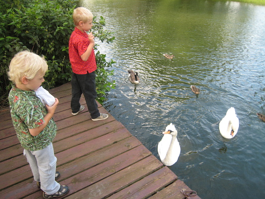 Cole and Tim feeding the swans and ducks (07-23-2009 08:03)