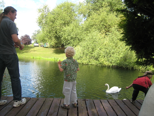 Ben, Cole and Tim feeding the swans and ducks (07-23-2009 08:04)