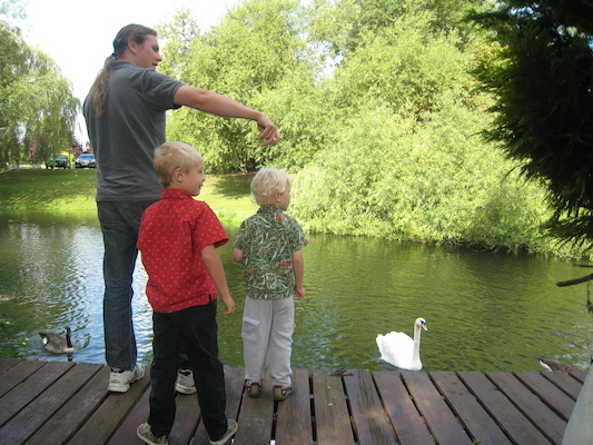 Ben, Cole and Tim feeding the swans and ducks (07-23-2009 08:04)