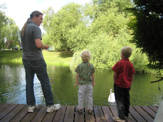 Ben, Cole and Tim feeding the swans and ducks (07-23-2009 08:04)