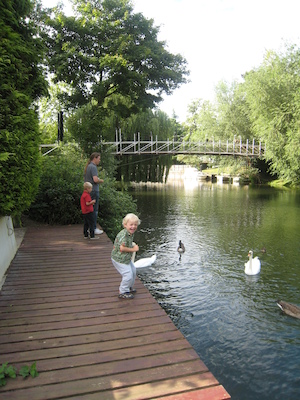 Ben, Cole and Tim feeding the swans and ducks (07-23-2009 08:05)