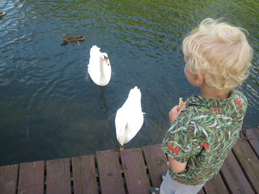Cole feeding the swans (07-23-2009 08:06)