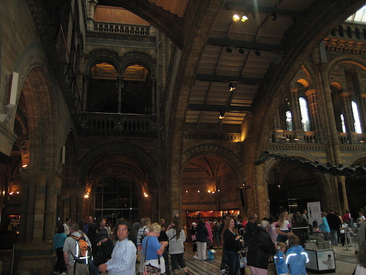 The natural history museum (07-24-2009 10:35)