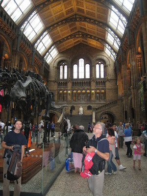 Darwin at the natural history museum (07-24-2009 10:36)