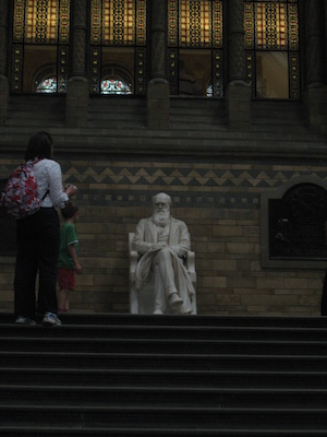 Darwin at the natural history museum (07-24-2009 10:37)