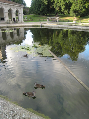 Birds at Hyde park (07-24-2009 18:37)