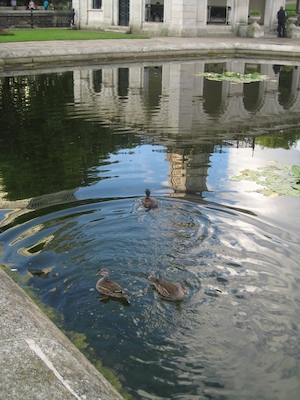 Birds at Hyde park (07-24-2009 18:37)