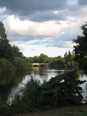 Cormorants at Hyde park (07-24-2009 18:51)