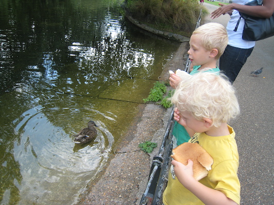 Cole and Tim watching the ducks at the park (07-25-2009 12:43)