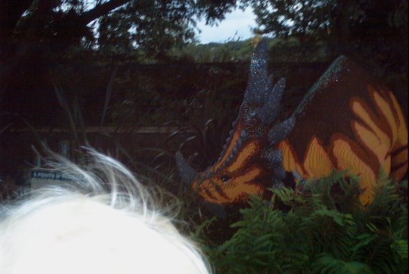 IMG_1400 (08-01-2009 20:40)