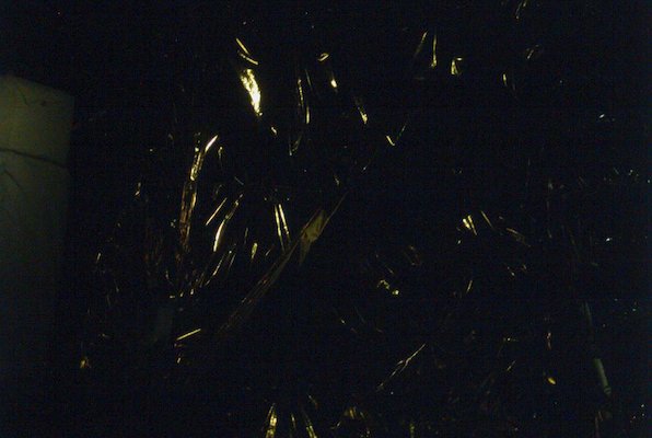 IMG_1403 (08-01-2009 20:40)