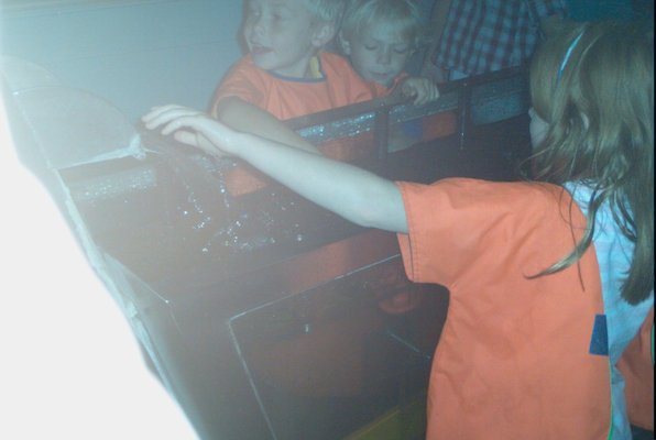 IMG_1406 (08-01-2009 20:40)