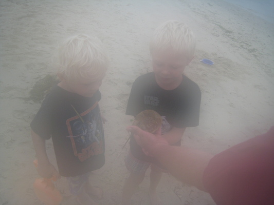 Cole, Tim, Poppy and a horseshoe crab (08-12-2009 09:02)