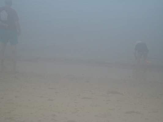 Poppy and Cole in the sea (08-12-2009 09:03)