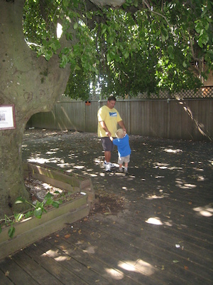 Matt and Mook under the weeping beech (08-15-2009 10:01)