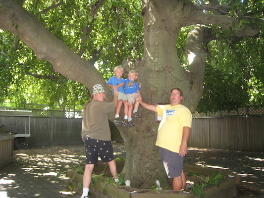 Ben, Tim, Cole and Matt under the weeping beech (08-15-2009 10:03)