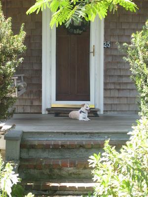 Emily at the Hyannis house (08-15-2009 12:22)