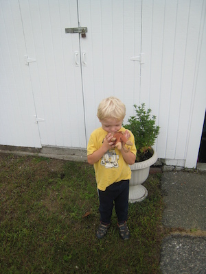 Cole at BMS (09-14-2009 07:54)