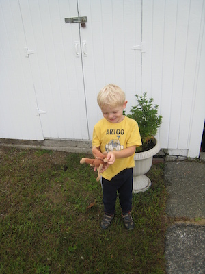 Cole at BMS (09-14-2009 07:54)