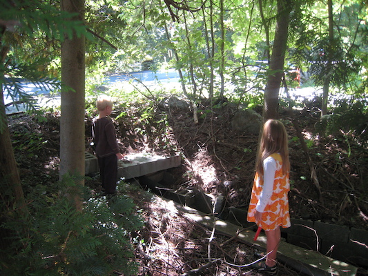 Shana and Tim exploring the stream (09-14-2009 12:54)