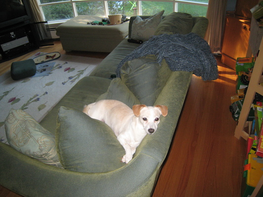 Emily lounging (09-19-2009 08:05)