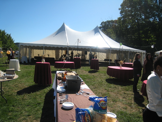 Wedding setting (09-19-2009 13:48)