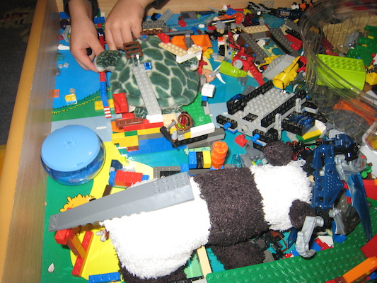 Tim and Cole's turtle and panda care station (10-27-2009 07:28)