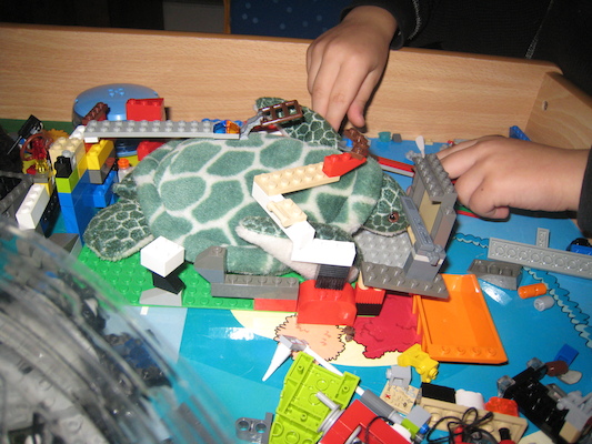 Tim and Cole's turtle and panda care station (10-27-2009 07:28)