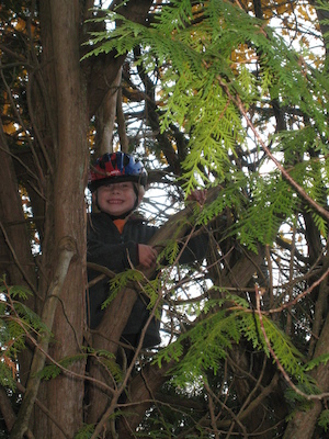Tim in a tree (10-29-2009 16:08)