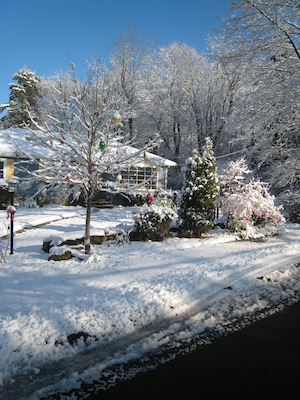 Snow on Sweetwater (with Tim and Cole) (12-06-2009 09:55)