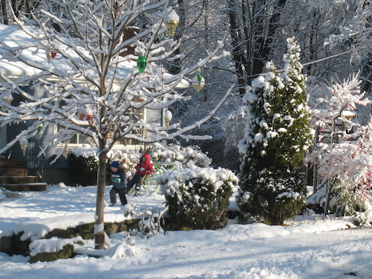Snow on Sweetwater (with Tim and Cole) (12-06-2009 09:55)