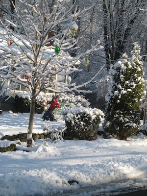 Snow on Sweetwater (with Tim and Cole) (12-06-2009 09:56)