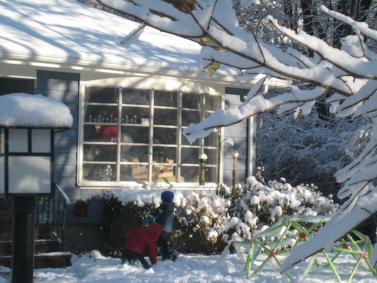 Xine being attacked by Tim and Cole (12-06-2009 09:56)