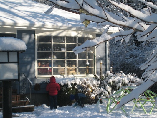 Xine being attacked by Tim and Cole (12-06-2009 09:56)