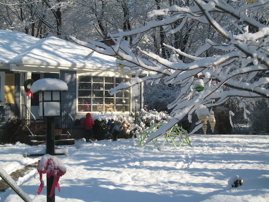 Xine being attacked by Tim and Cole (12-06-2009 09:56)