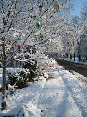 Snow on Sweetwater (12-06-2009 09:58)