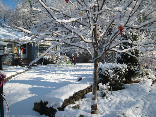 Snow on Sweetwater (with Tim and Cole) (12-06-2009 09:58)