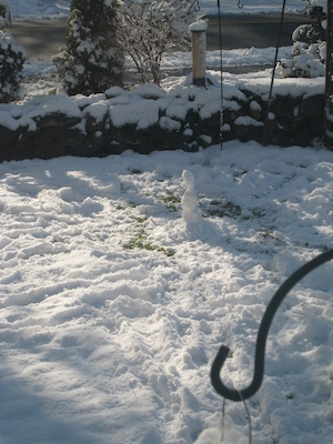 Tim's snowman (12-06-2009 10:53)