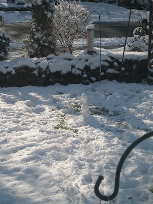 Tim's snowman (12-06-2009 10:53)