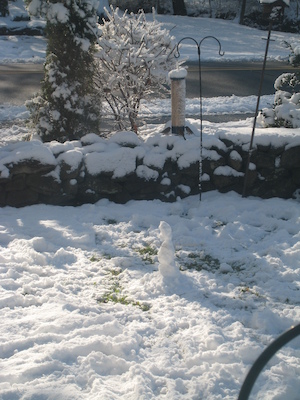 Tim's snowman (12-06-2009 10:53)