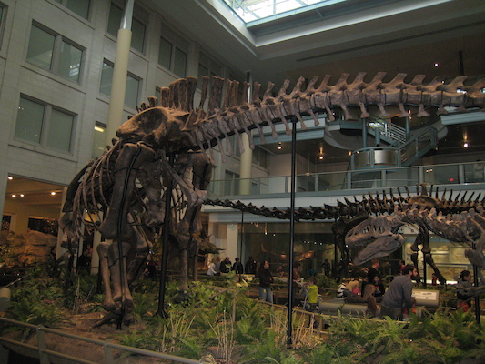 The dinosaurs (12-30-2009 11:26)