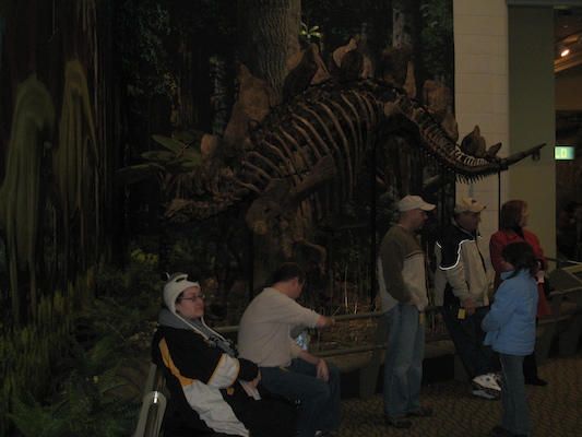 Xine and the stegosaurus (12-30-2009 11:26)