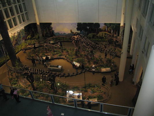 View down to the dinosaurs (12-30-2009 13:36)