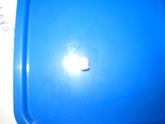 Tim's tooth (01-04-2010 17:03)