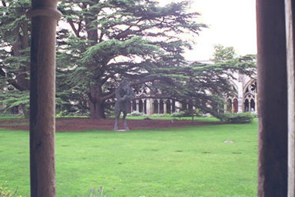 Salisbury cathedral cloister