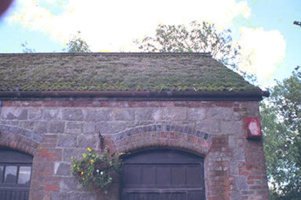 Mossy roof