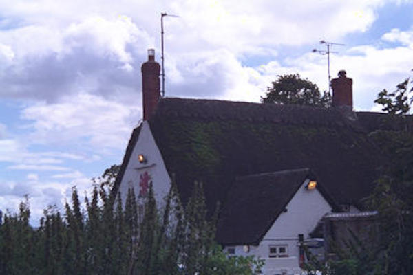 Mossy thatched roof