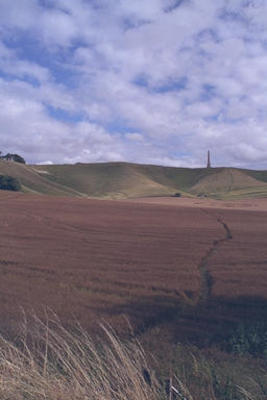 White horse, crop circle, and monument